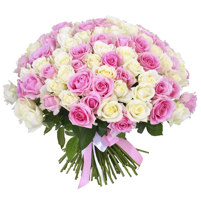 Букет из 101 розовой и белой розы (60 см)